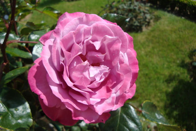 Tout aussi &eacute;panouie que sa marraine