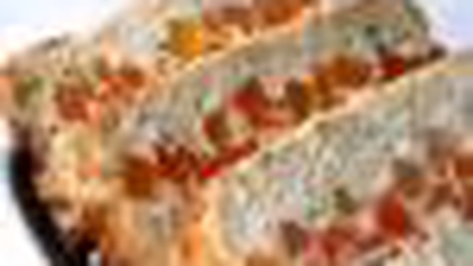 Terrine