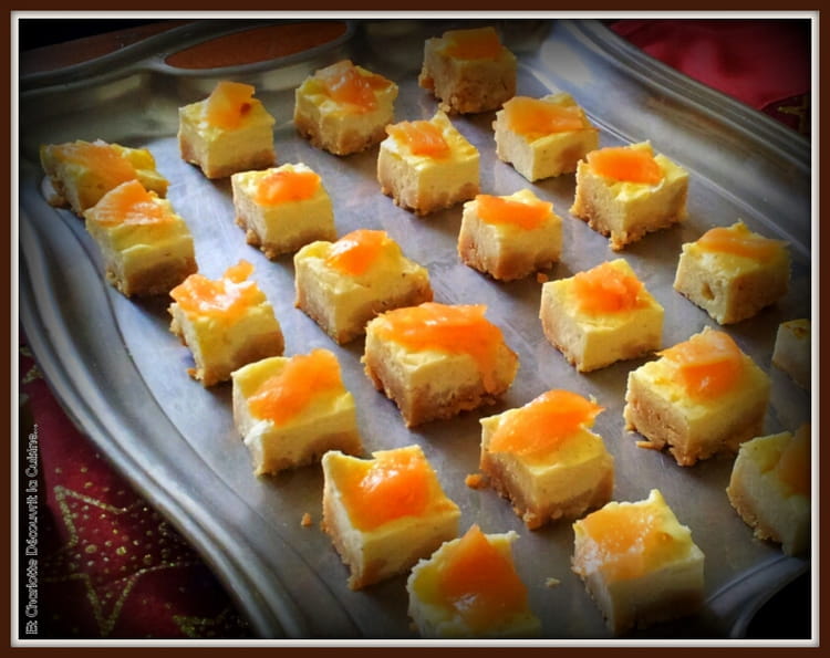 Recette de Cheesecake au saumon et chèvre frais la recette facile