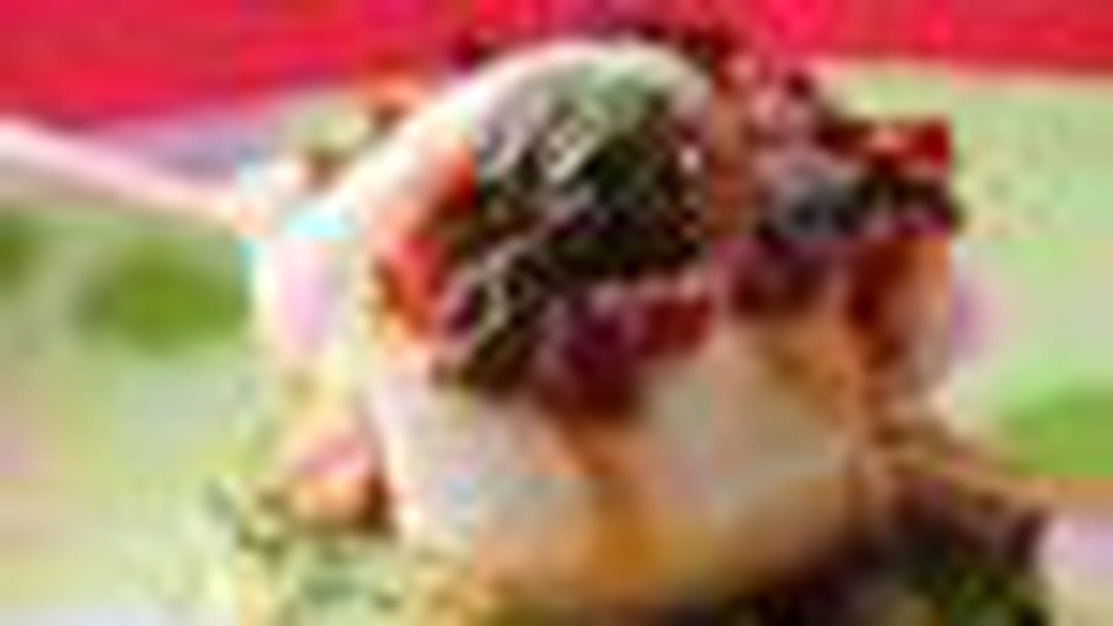 Brochettes de poisson