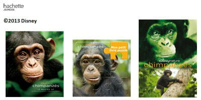 lots concours chimpanze