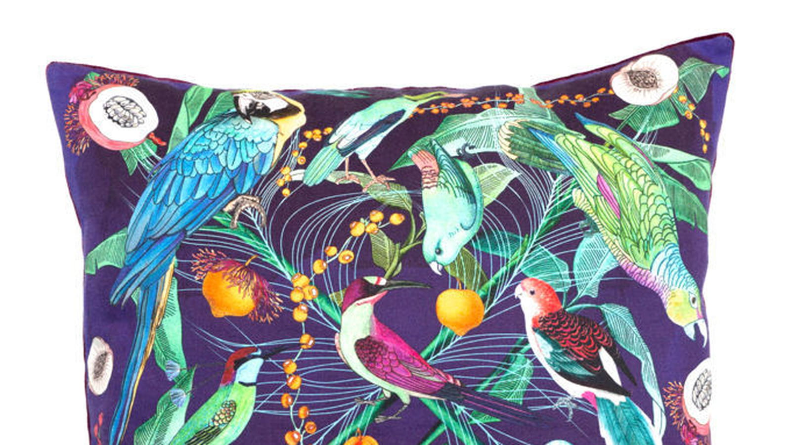 Oiseaux exotiques