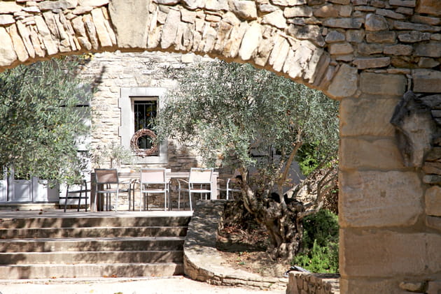 Des oliviers pour encadrer l'entr&eacute;e