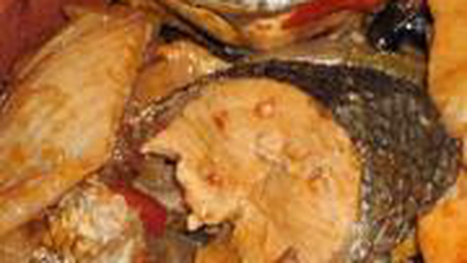 Caldeirada de peixe