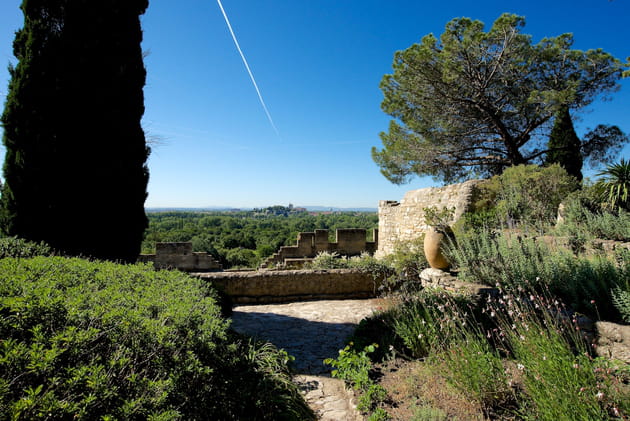 Entre min&eacute;ral et v&eacute;g&eacute;tal