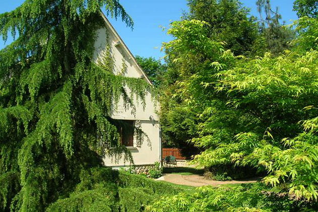 Un jardin de verdure