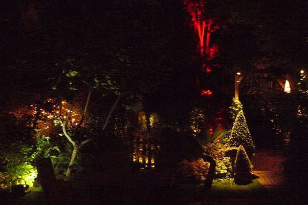 La nuit, le jardin s'illumine