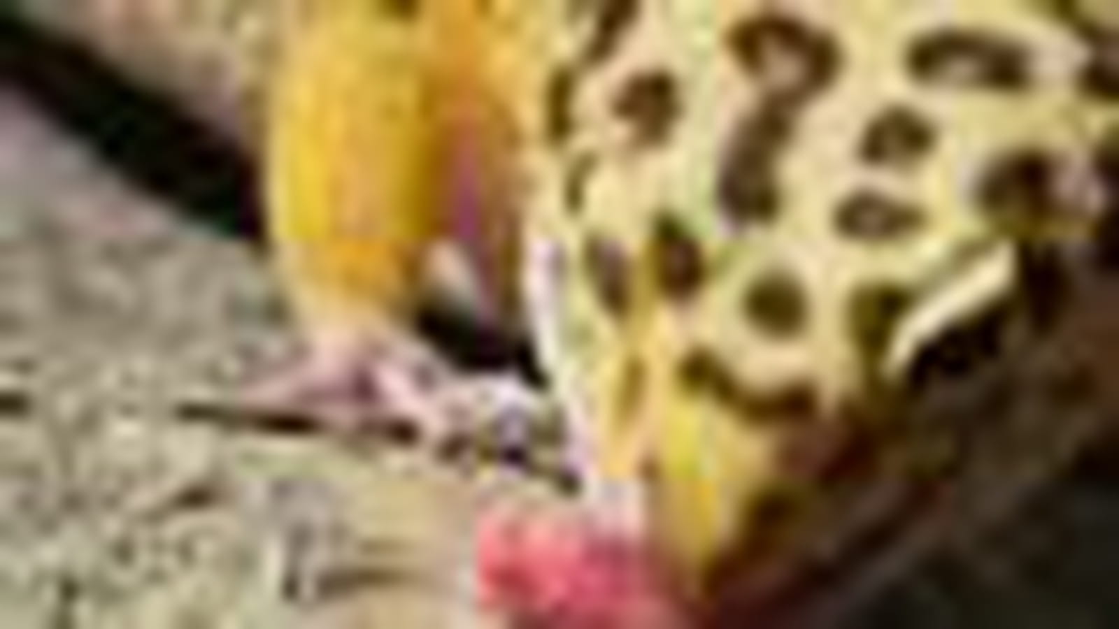 Alimentation