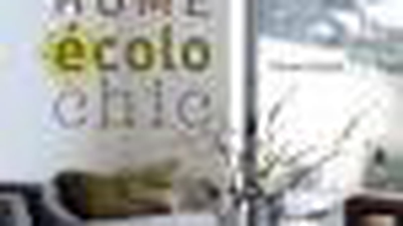 "Home écolo chic"