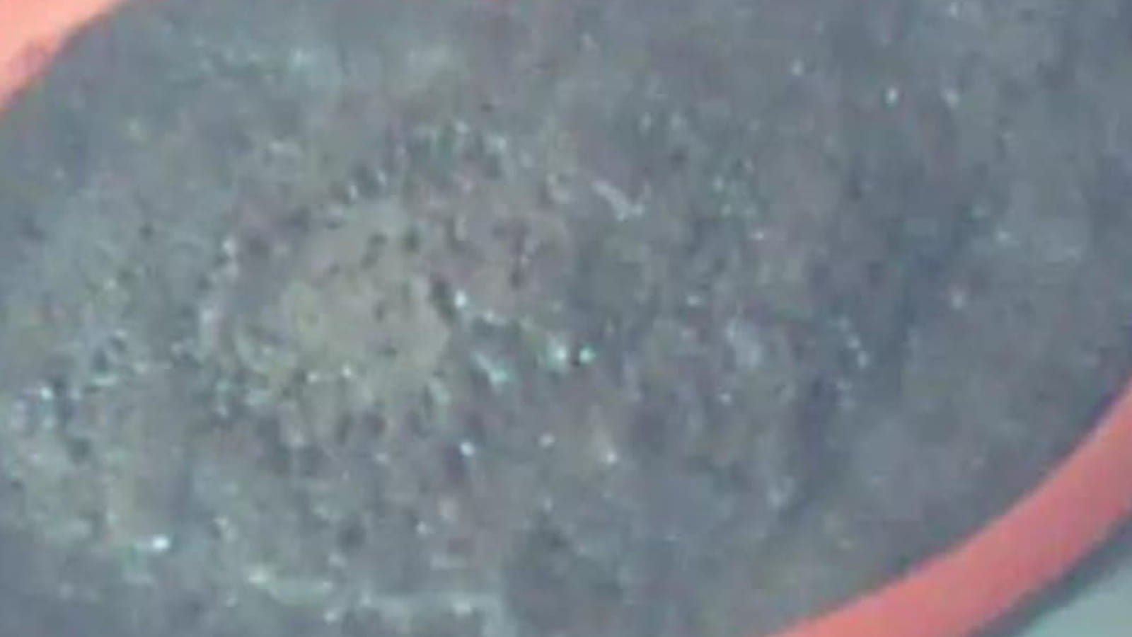 Gâteau au chocolat au micro-ondes