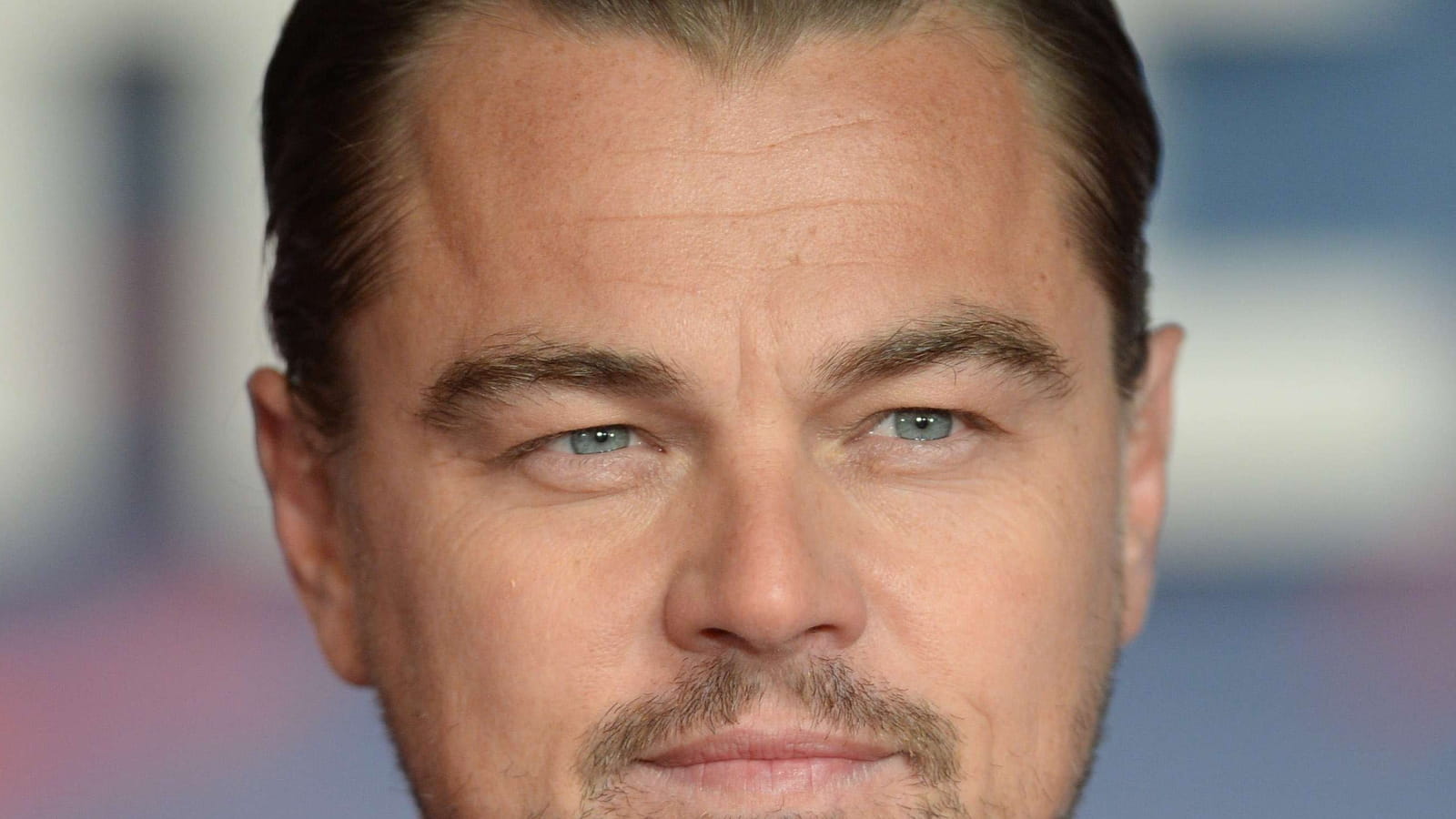 Leonardo DiCaprio 