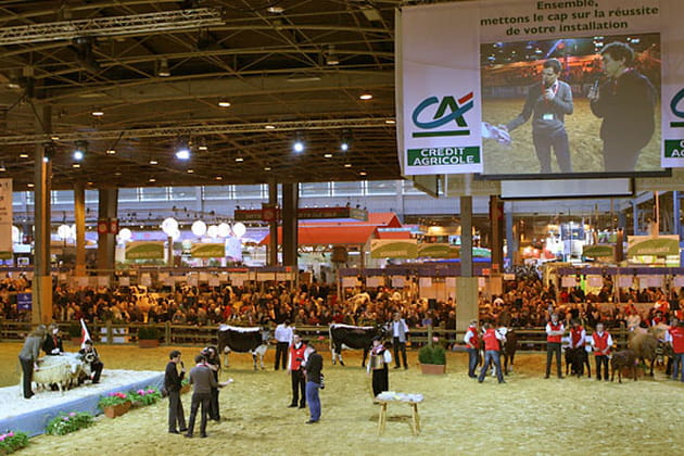 Le Concours G&eacute;n&eacute;ral des animaux