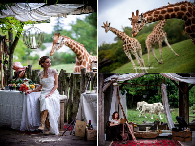 Bienvenue au zoo de Pessac