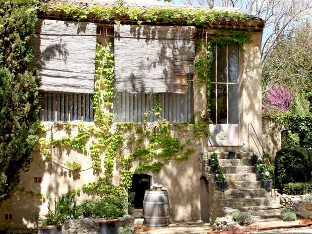 Stores en canisse et vigne vierge