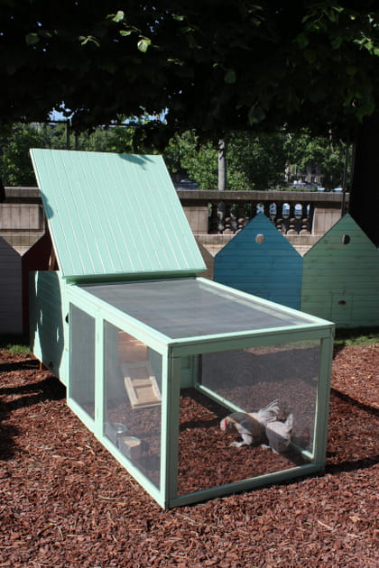 Un poulailler "Do it Yourself"