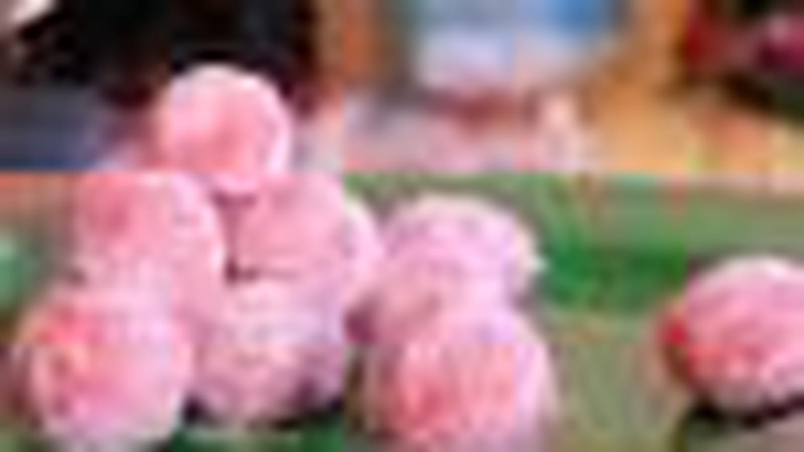 Biscuits roses