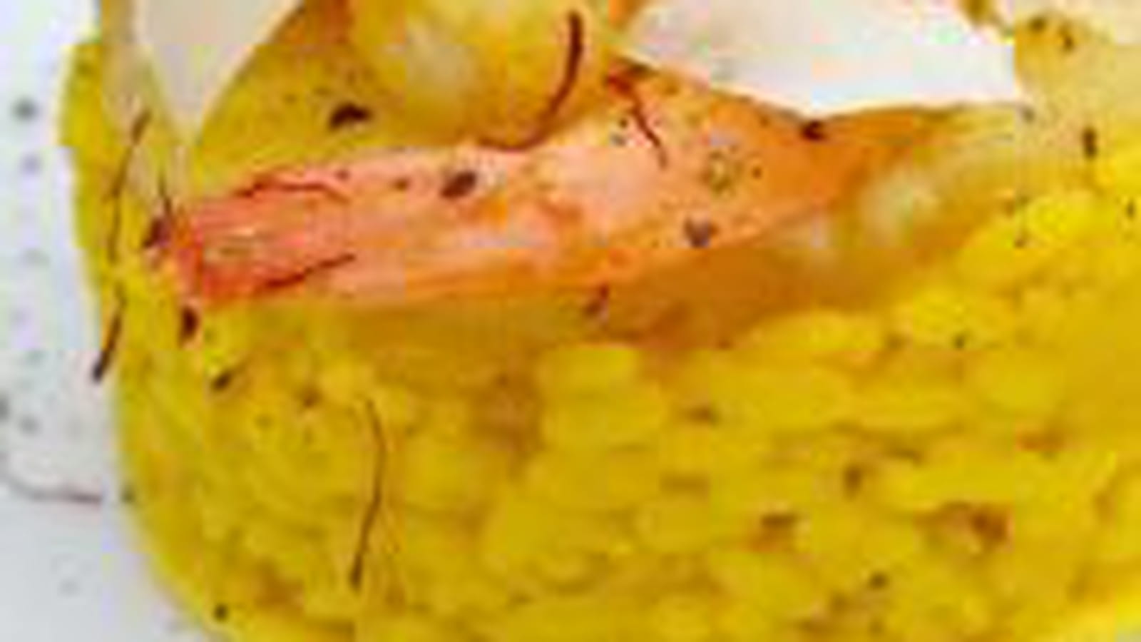 Risotto jaune aux gambas et ananas sur lit d'omelette