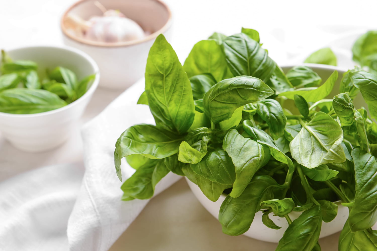 Cette façon de conserver les herbes fraîches préserve bien mieux leur goût