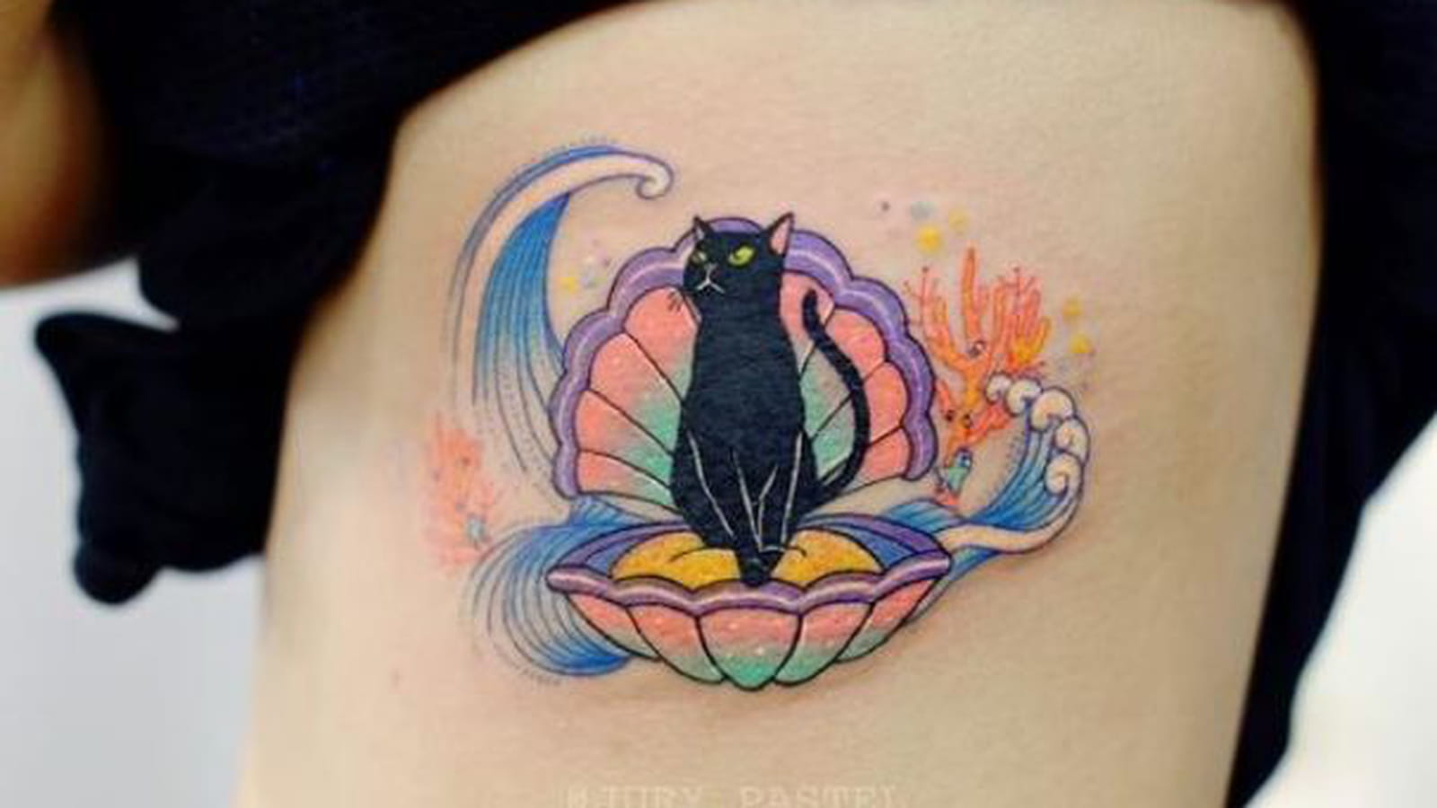 Chat et coquillage sur le flanc