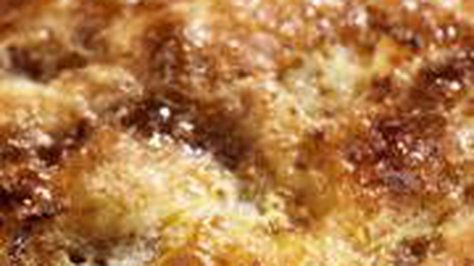 Tarte au sucre