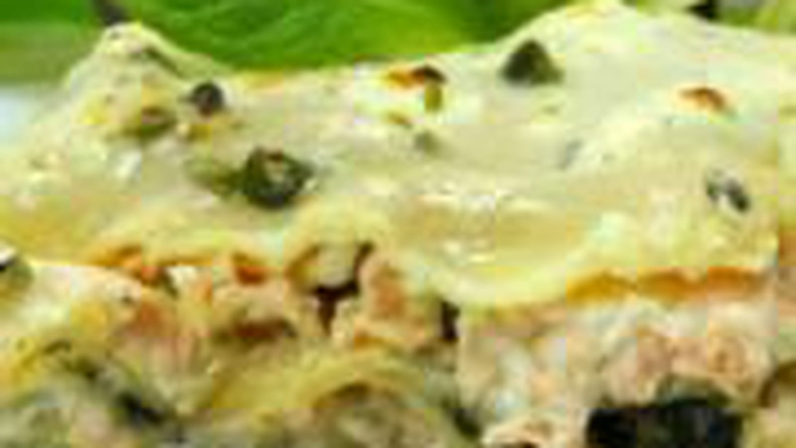 Lasagnes saumon-épinards