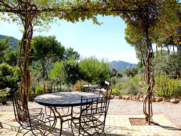 Tonnelle v&eacute;g&eacute;tale