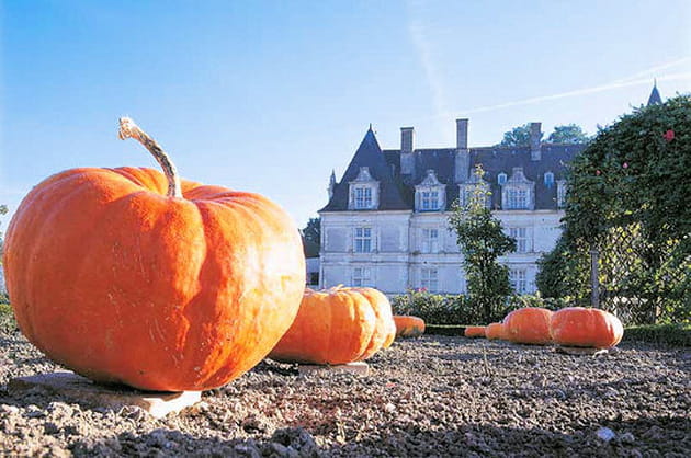 Halloween au chateau ?
