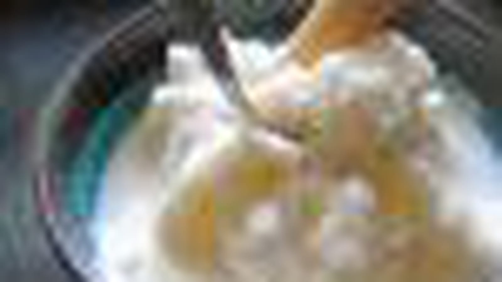 Glace vanille minute