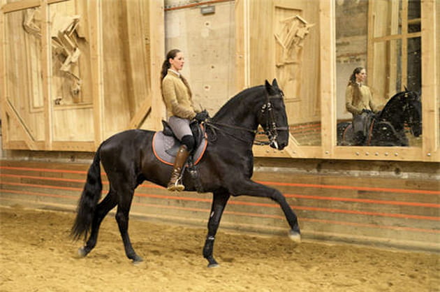 Une véritable formation artistique