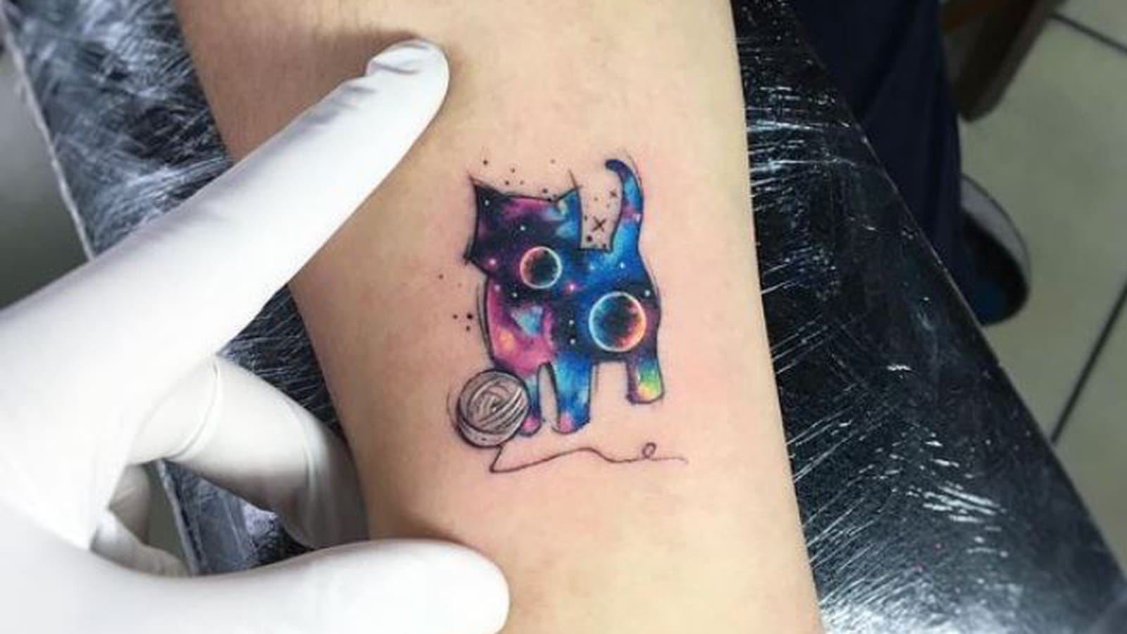 Chat galactique sur l'avant-bras