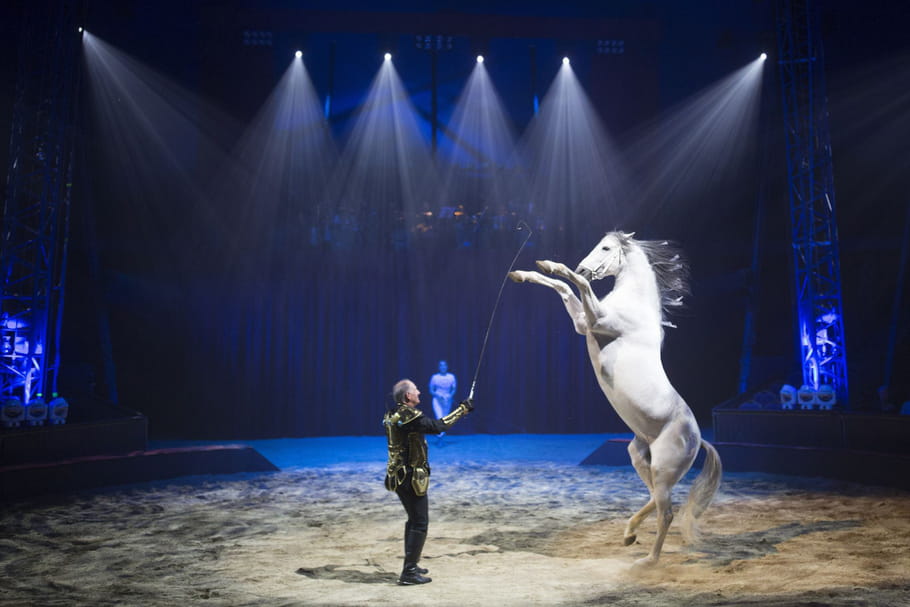 Quintessence, un spectacle de cirque au profit des enfants cardiaques