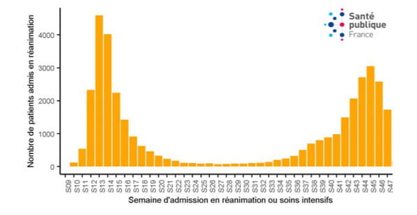 courbe réanimation covid-19