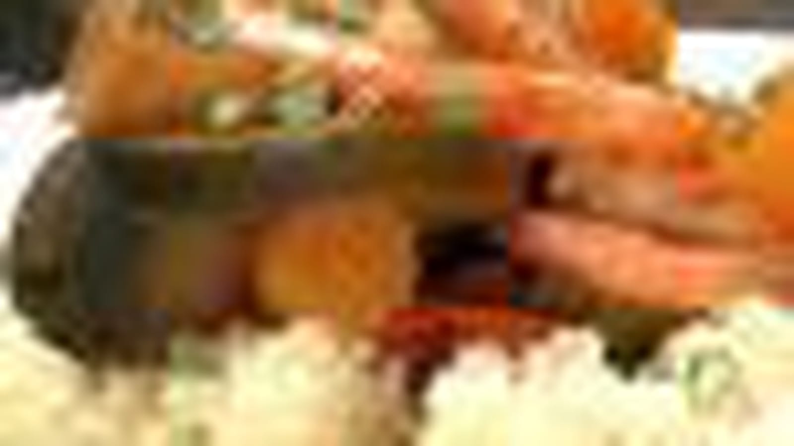 Couscous