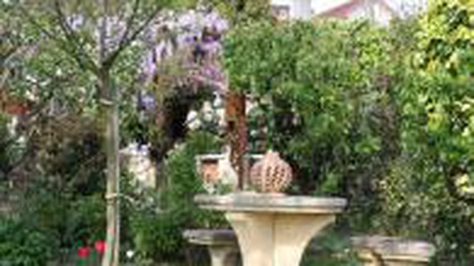 Coin Provence du jardin
