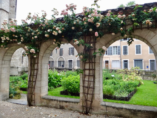 L'Herbularius ou le jardin des simples