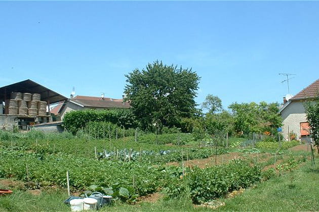Un jardin sauvage et luxuriant dans la campagne jurassienne