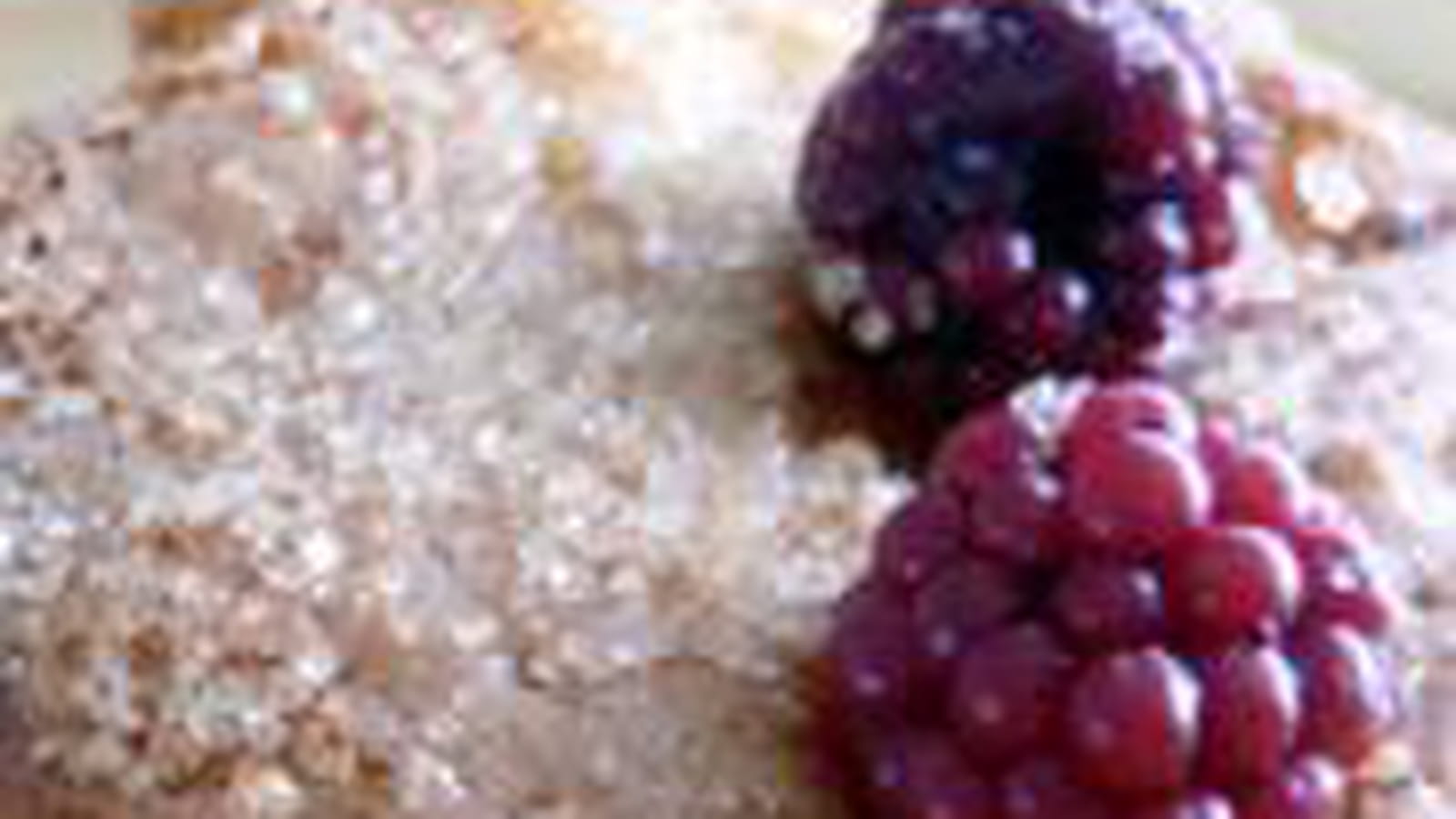 Muffins mûres et rhubarbe