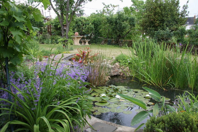 Un jardin de ville aux multiples facettes