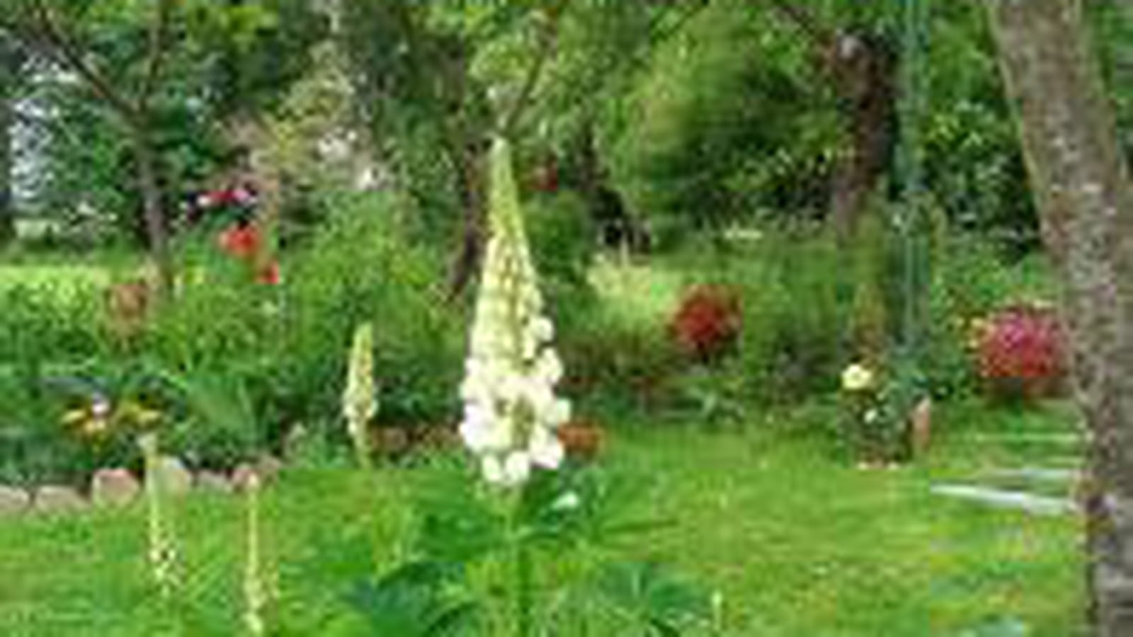 La poésie est au jardin