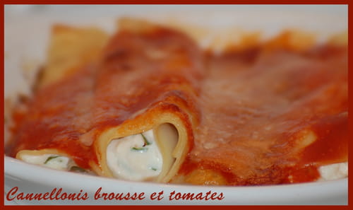 Cannellonis brousse et tomates