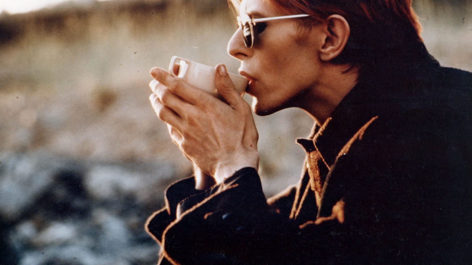 Photo du film THE MAN WHO FELL TO EARTH
