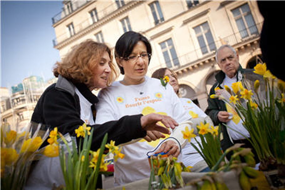 "Une jonquille pour Curie" : faire fleurir l'espoir contre le cancer