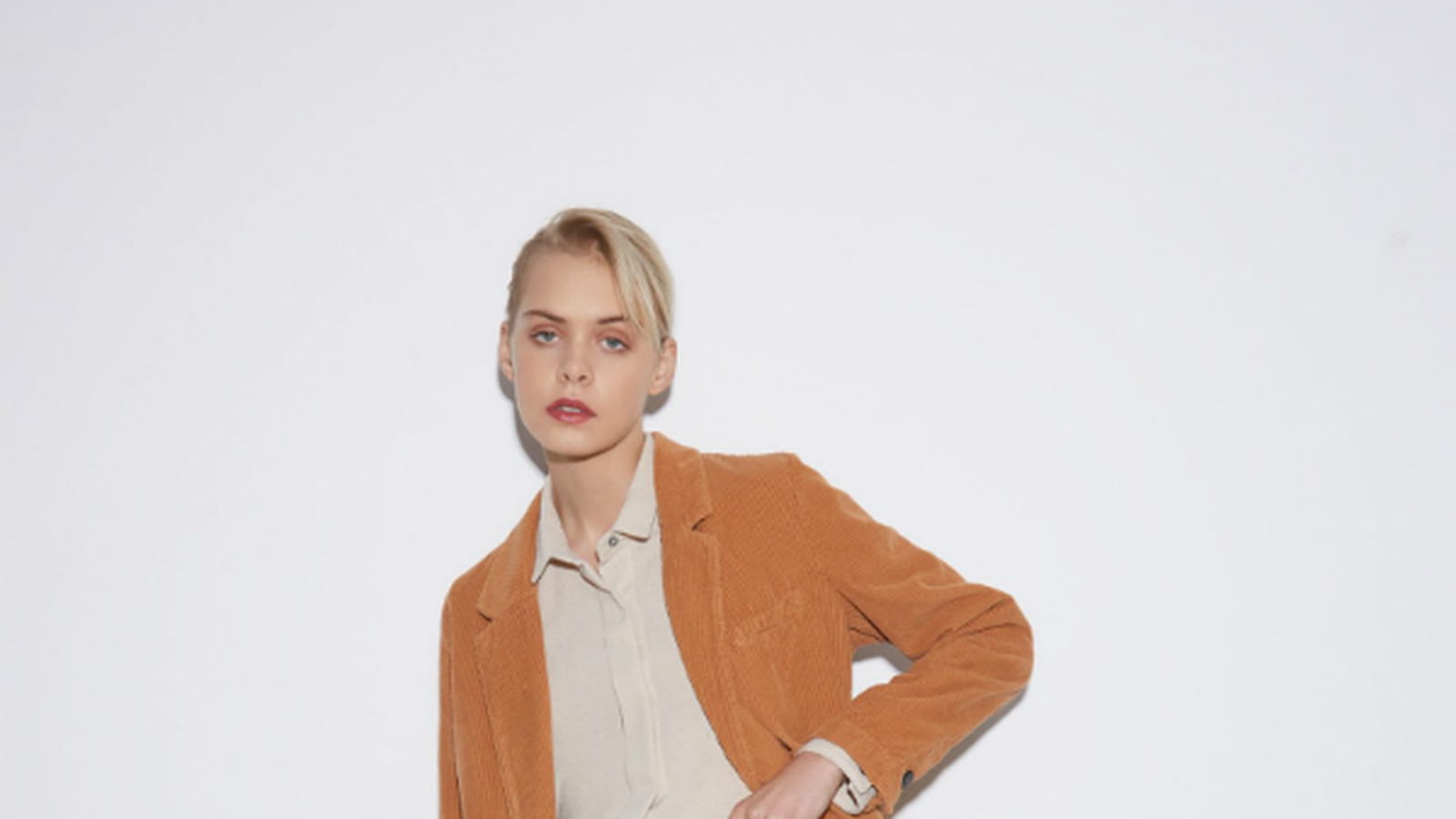 Veste Pomandère