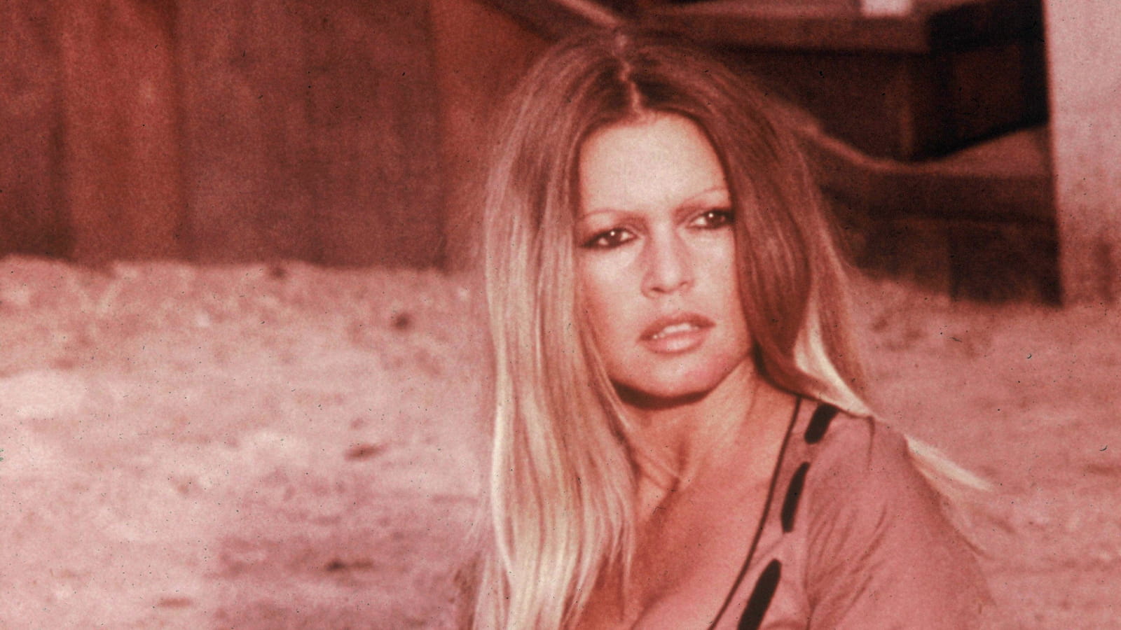 Brigitte Bardot
