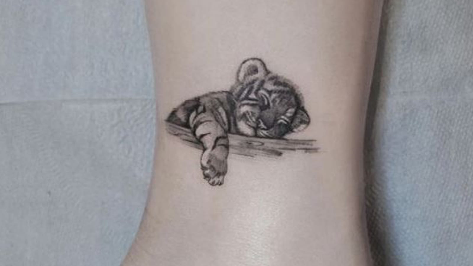 Bébé tigre endormi sur la cheville