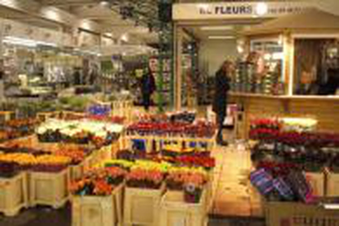 Les Fleurs Sur Le D clin