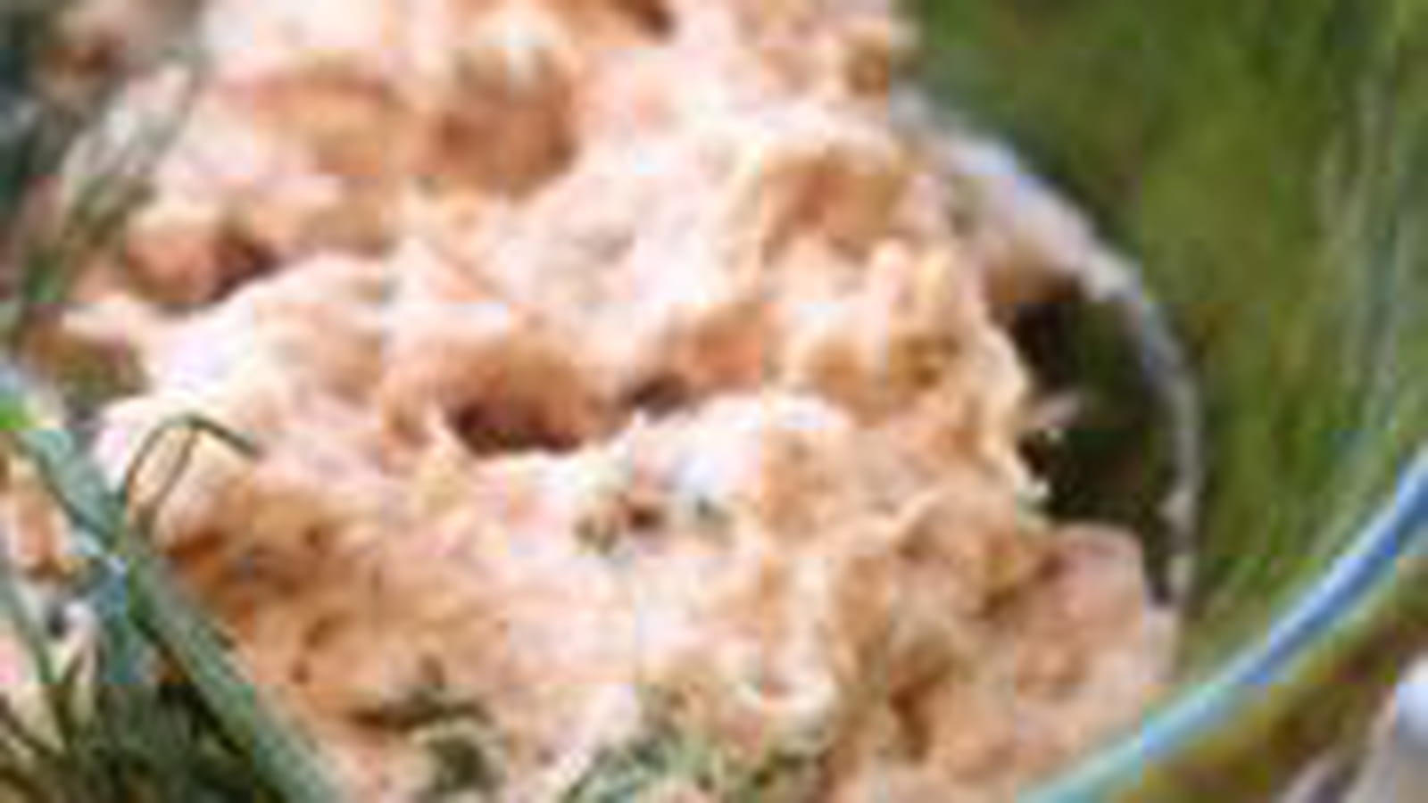 Rillettes de thon au wasabi