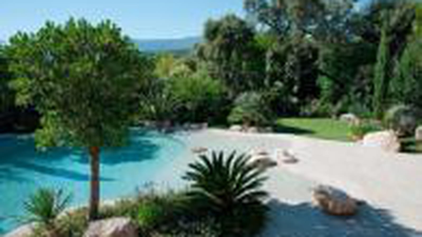 Piscine familiale forme libre or