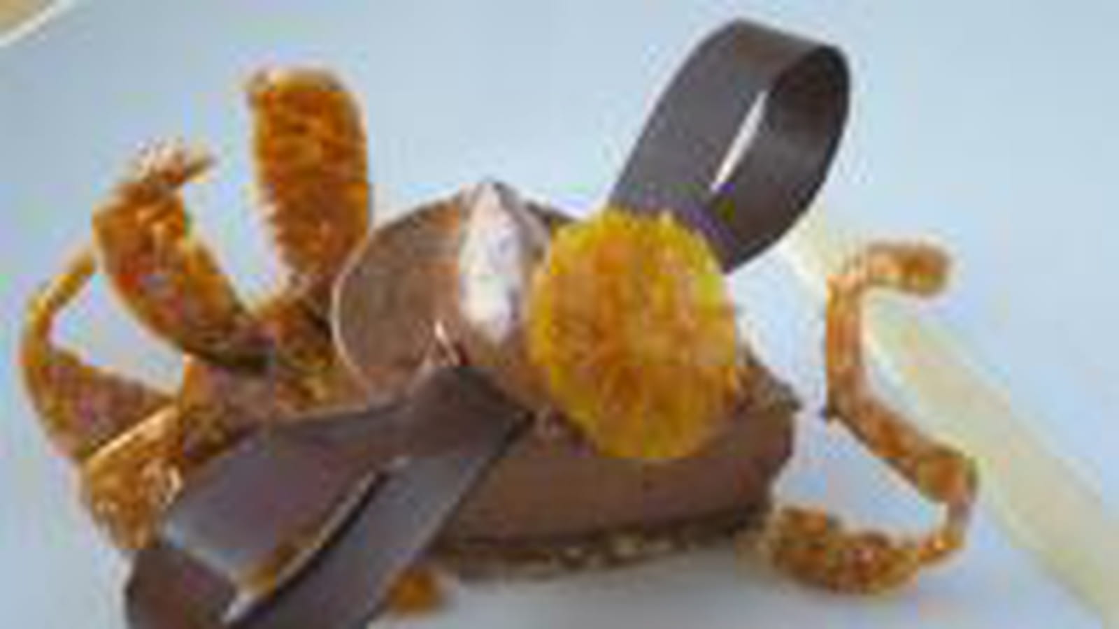 Paon chocolat et nougatine 