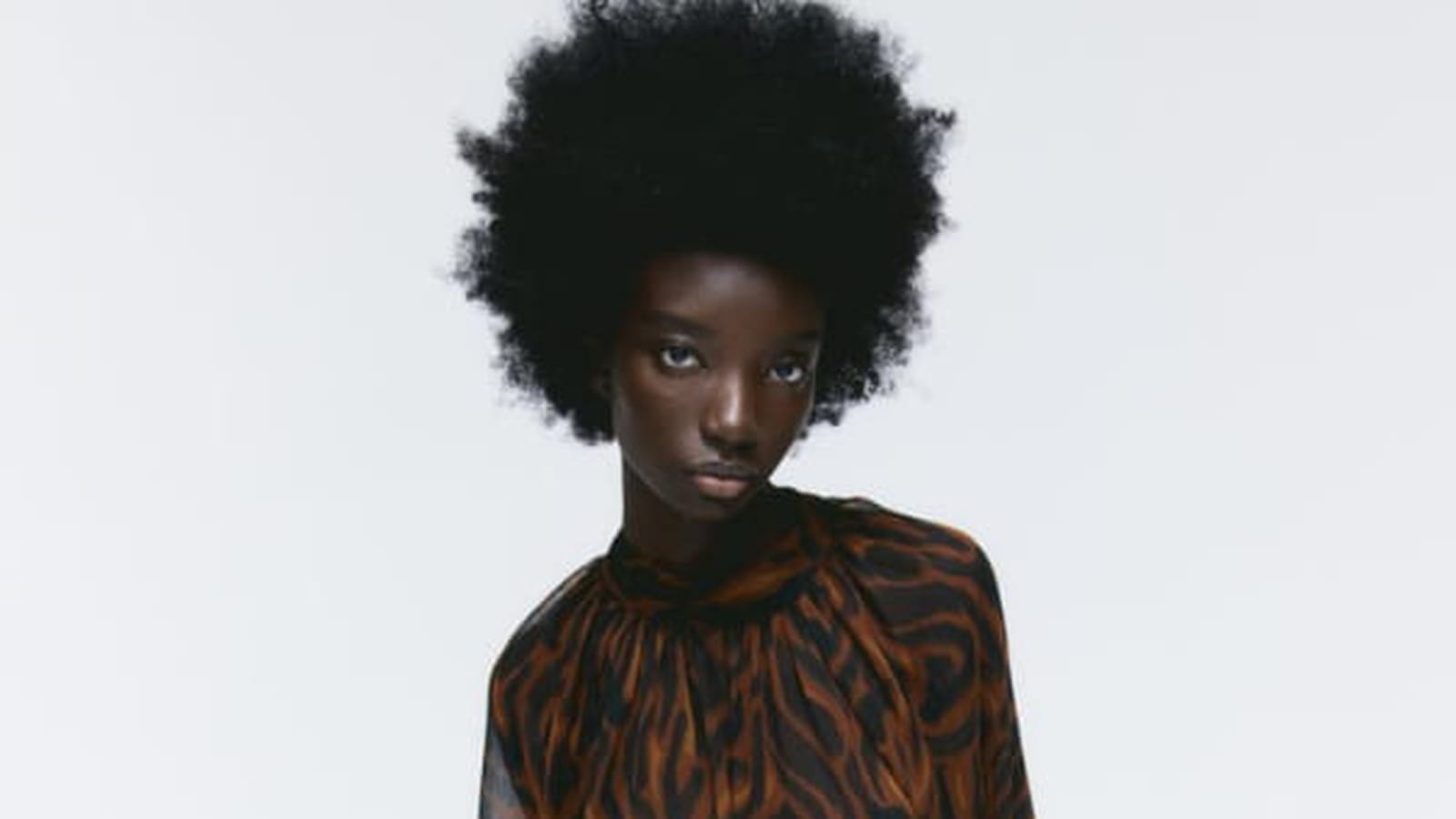 Blouse H&M